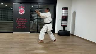 The Official Tiska Karate  6 Heian Godan Detailed Tips [upl. by Asilenna]