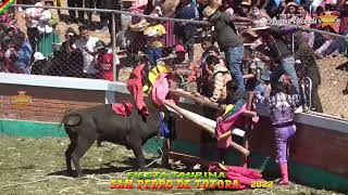 Gran corrida de toros San Pedro de totora ORURO 2022 [upl. by Bac]