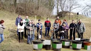 Ausgrabung von Sämlingen der quotGrunauer Eichenquot im März 2015 Blick zum Tagebau Profen im Okt2024 [upl. by Sianna]