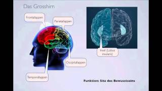 Nervensystem Level 2 Teil 22 [upl. by Bohun]