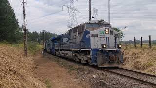 Trem da MRS em rota contrária no pátio de Itirapina e outros trens da rumo [upl. by Junko]