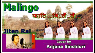 Malingo Katee ni Lai Lai  Jeeten Rai  Cover By Anjana Sinchiuri  Nepali Song [upl. by Mezoff67]