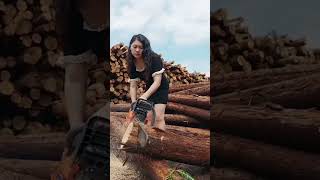 Sawing felling cutting light and portablechainsaws hardware tools viralvideo foryou [upl. by Novyat754]