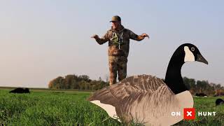 The BASICS Of Setting FIELD Decoy Spreads For GOOSE Hunting [upl. by Eannaj]