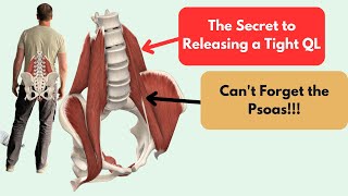 The Secret to LONGTERM Relief of a Tight QL Stop Stretching and Create a quotNeurological Eventquot [upl. by Salesin601]