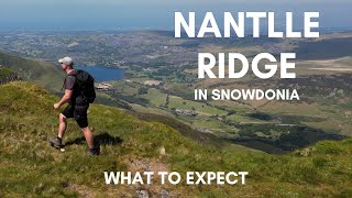 Nantlle Ridge What You Can Expect on This Classic amp Memorable Hike [upl. by Bowie]