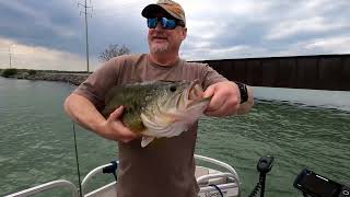 Cayuga Lake Bass Fishing Largest bass in 19 years over 8lbs [upl. by Gneh]