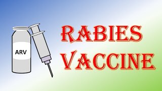 Anti Rabies Vaccine Schedule For Dog Bite  Exposure  Post Exposure  Pre Exposure [upl. by Lindsay]