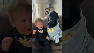 cat dog dogs cut cute love lovecats lovedogs funny virla viralvideo foryou foryoupage [upl. by Spooner]