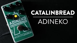 Riff amp Run Catalinbread Adineko Oil Can Delay demo [upl. by Proud918]