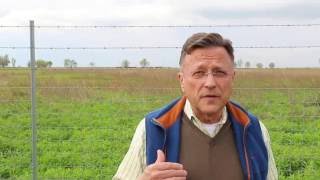 Welcoming Bison Back to Midewin National Tallgrass Prairie [upl. by Bone]