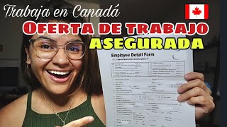 6 maneras EFECTIVAS de conseguir una OFERTA LABORAL en Canadá 🇨🇦 ✅Oferta de trabajo asegurada [upl. by Annanhoj]