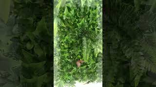 Vertical Garden Wall  DIY Faux Living Plant Wall  Indoor amp Outdoor Foliage Decoration [upl. by Anej95]