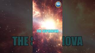 Can a Star Survive Supernova Explosion ZOMBIE shorts science space [upl. by Arraes]