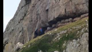 Mountain Goats  amazing rock climbers [upl. by Gleason]