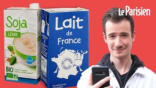 Les «laits» végétaux peuventils remplacer le lait de vache [upl. by Erlina]