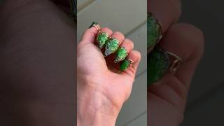 Leaf Glass Nails nailsnailsnails glassnails ecofriendly ♻️ recycle trejayne [upl. by Tamaru]