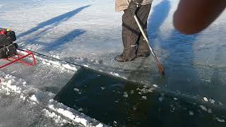 Sturgeon Spearing Shack Rescue Asylum Bay Nicolet Ave [upl. by Kailey]