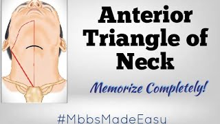 Anterior Triangle of Neck  MEMORIZE COMPLETELY [upl. by Pearman]