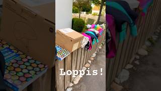 Loppis [upl. by Dorej]