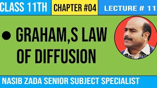 Grahams law of diffusion  Chemistry Class  Nasib Zada SSS  PashtoPoshto [upl. by Smoht]