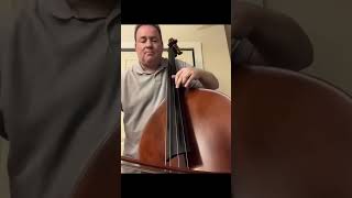 Cat writes music for Double Bass sneak preview [upl. by Avid442]