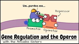 Gene Regulation and the Operon [upl. by Jack]