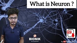 What are Neurons  by Nikhil Sir  BioNik Academy [upl. by Enihpled]