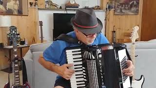 Despacito  Accordion Akordeon Accordeon Fisarmonica Accordeon UNPLUGGED Cover by Biagio Farina [upl. by Iznekcam465]