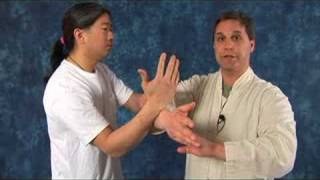 Tai Chi Partner Exercises  Double Hand Push Tai Chi Exercise Tips [upl. by Beverly644]