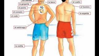 Dolor de cabeza  Learn Spanish body parts [upl. by Bass114]