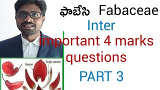 Fabaceae Intermediate botany important 4marks questions part 3 [upl. by Annice]