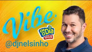 BAU DO VIBE FM O DIA  DJ NELSINHO  01052024 [upl. by Sel]