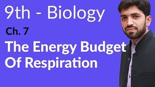 Matric part 1 Biology The Energy Budget of Respiration Ch 7 Bioenergetics 9th Class Biology [upl. by Anurb]