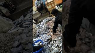 Ramnagar fish market hyderabad reels shorts viralvideo [upl. by Haret]