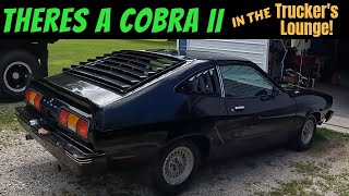 78 Ford Mustang ll Cobra gets a second chance 302V8 Pt1 [upl. by Niki]