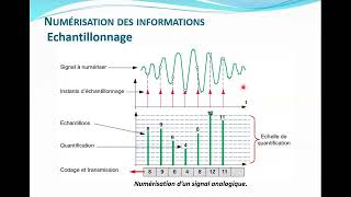 Echantillonnage  theoreme de Fourrier  communication numerique [upl. by Adnac]