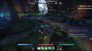 The Elder Scrolls Online  Scalecaller Peak  Best pug group Ive ever joined 😅 [upl. by Krid]