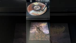 Vulvodynia  Entabeni Earthtone Splatterburst Vinyl vulvodynia slamdeathmetal brutaldeath [upl. by Nassir]