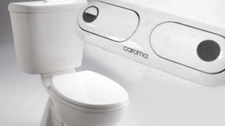 How to fix a leaking Caroma Toilet [upl. by Idoux]