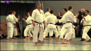 Soke Prof Dr Ilija Jorga Lehrgang Strausberg  Traditionelles Karate Rehfelde eV [upl. by Nettie18]