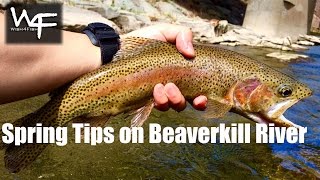 W4F  Fly Fishing quotSpring time on the Beaverkill Riverquot [upl. by Arlynne]