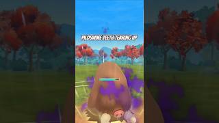 Piloswine showcase great league pokemon pokemongo pokemongame gblteam greatleaguebattle shorts [upl. by Rosalinde]