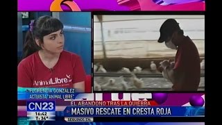 Animal Libre en quotEsta Tardequot en CN23  Cresta Roja [upl. by Mori]