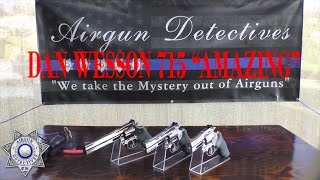 Dan Wesson 715 25quot 4quot and 6quot 177 Cal Pellet Revolver quotFull Reviewquot by Airgun Detectives [upl. by Demy]