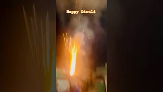 diwali viralvideo trending [upl. by Adekan]