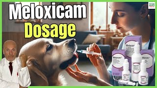 🔴 MELOXICAM FOR DOGS DOSAGE PRICE AND USES 🔴 [upl. by Atnohsal957]