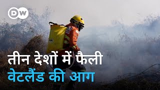 जल रहा है सबसे बड़ा ट्रॉपिकल वेटलैंड Wildfires threaten worlds biggest tropical wetland region [upl. by Ssidnak]