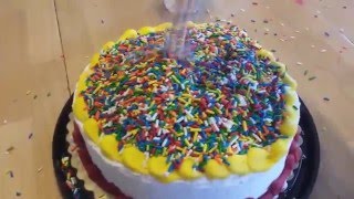 100000 Sprinkles on a Cake not really 100000 Subscriber Special [upl. by Alansen]