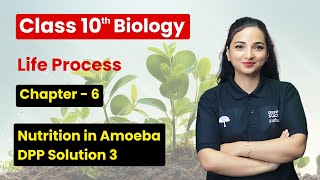 Nutrition in Amoeba  DPP Solution 3  Life Processes  Class 10 Biology Chapter 6 [upl. by Idurt]